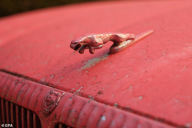 A Jaguar is covered in fire retardant during the Palisades wildfire in Los Angeles