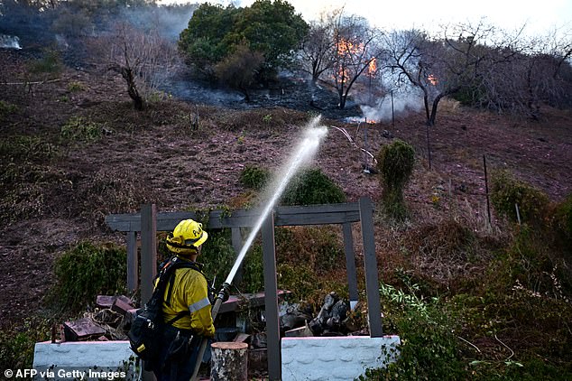 A firefighter extinguishes flames in the Mandeville Canyon neighborhood