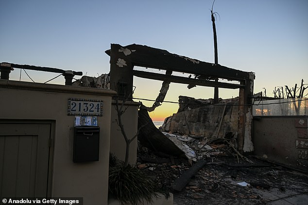 Paris Hilton's Malibu Beach home is among those reduced to rubble by the LA fires