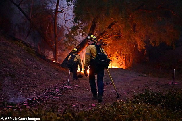 Firefighters attempt to extinguish flames in the Mandeville Canyon neighborhood of Los Angeles, California on January 11, 2025