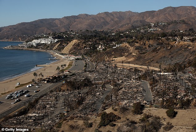 Bass faced strong backlash after posting a video message about the city's fires, in which she appeared to smile as she discussed residents' 