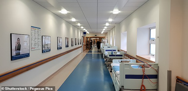 NHS trusts across the country are now installing power sockets and oxygen pipes in corridors as they prepare to treat more patients in trolleys lining their walls (stock image)