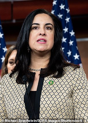 Representative Nicole Malliotakis