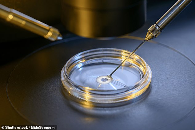 One in six couples experience infertility and more than 50,000 patients in the UK undergo IVF every year, with this number rising annually (stock image)