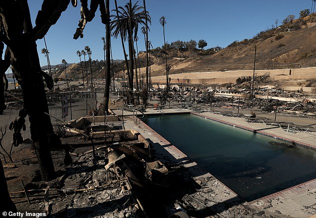 More than 12,000 buildings were destroyed in the fires, which devastated some of LA's most affluent neighborhoods