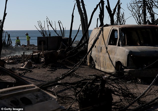 The iconic Malibu waterfront homes were wiped out by the Palisades fire