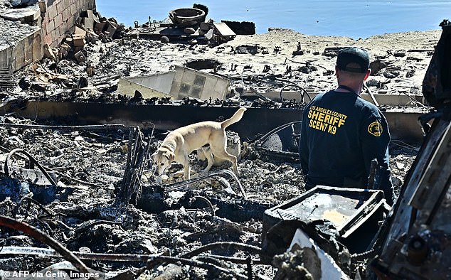 As cadaver dogs are deployed to locate human remains, Los Angeles County Sheriff Robert Luna has warned that the death toll will likely continue to rise.