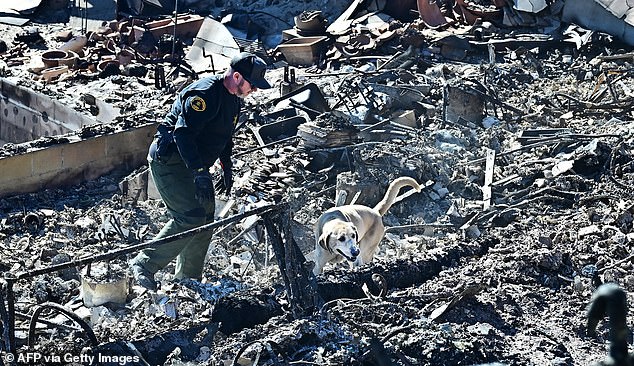 The Los Angeles County sheriff is calling in cadaver dogs to search for more bodies