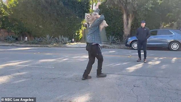 He was so elated and relieved to be reunited with his beloved dog that he cheered and ran into the street