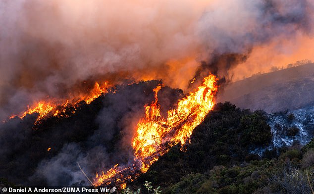 Fire roars across the hills behind Pacific Palisades Saturday morning