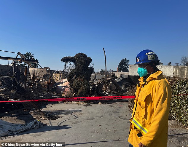 Bunny Museum, an esoteric collection of virtually irreplaceable images of rabbits, was destroyed in the fire