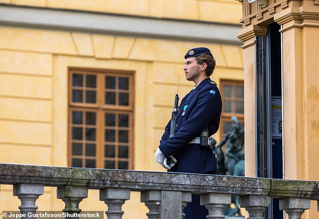 The soldier, whose name has not yet been released, reportedly slipped and fell on his own bayonet, causing it to enter his head behind his ear as he stood guard outside Stockholm Palace (File image)