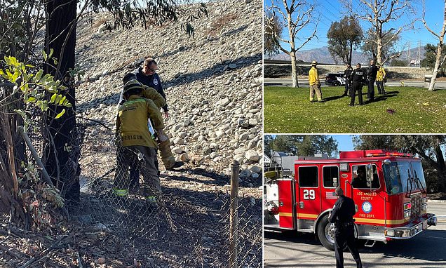 1736775817 637 California fires live Pressure grows on LA Mayor Karen Bass