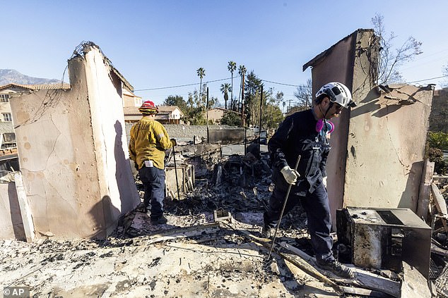 Search and rescue crews work the area of ​​devastation in the aftermath of the Eaton Fire on Sunday, January 12, 2025 in Altadena, California