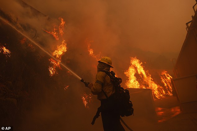 The fires first sparked on January 7, after powerful Santa Ana winds began devastating Southern California with gusts of up to 100 mph.