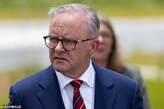 The young worker slammed the federal government (pictured, Prime Minister Anthony Albanese) for spending billions of dollars on submarines and an NRL team from Papua New Guinea instead of using money to help struggling Australians.