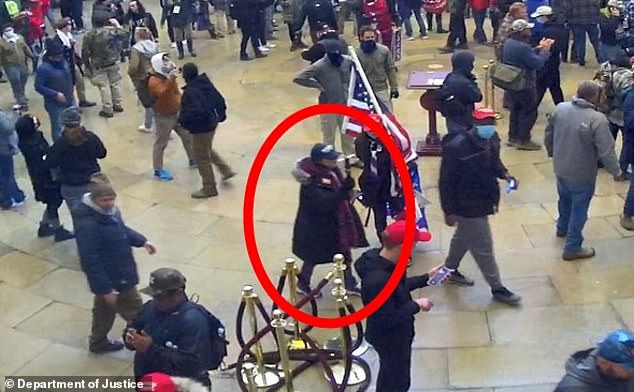 Pamela Hemphill (circled), a retired substance abuse counselor, was gifted a trip to the 'Stop the Steal' rally and was found to have entered the Capitol that day after voting for Donald Trump in 2016 and 2020