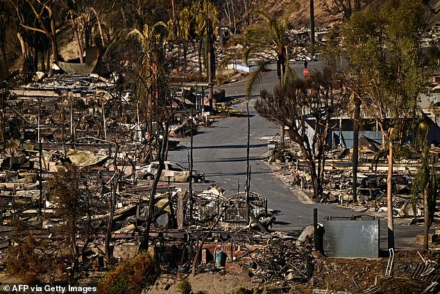 Charred homes and burned cars are pictured amid the rubble of the fire-ravaged Pacific Palisades