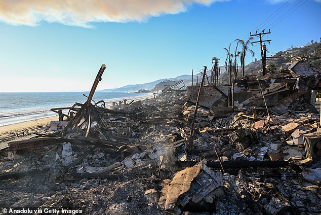 The devastating fires in Los Angeles have burned more than 12,000 properties and killed at least 11 people. Officials warned that the death toll is 