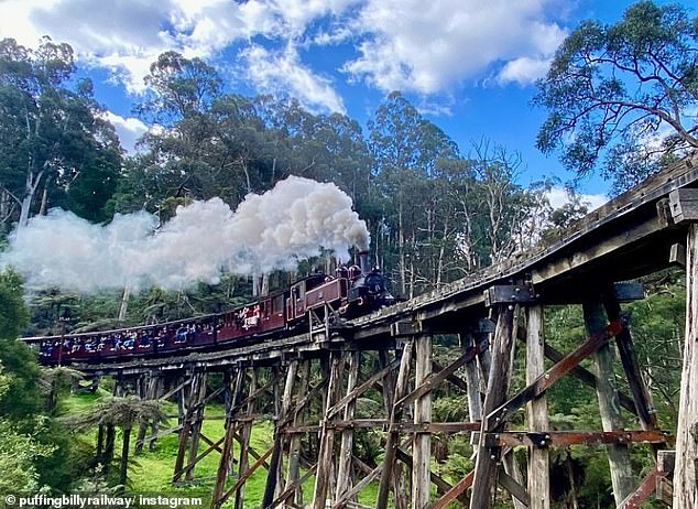 Puffing Billy's open-sided carriages provide an immersive experience, allowing passengers to feel the fresh mountain air and hear the rhythmic rumble of the steam engine