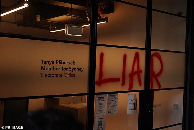 The climate activist who painted the word 'liar' on the federal Environment Minister's office in Sydney (pictured)