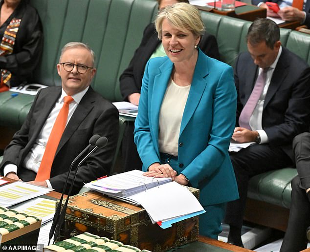 He said his actions were partly spurred by comments from Ms Plibersek (pictured alongside Anthony Albanese) that the government had not approved any new coal mines by 2024.