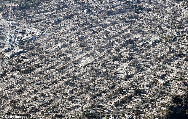 This month, multiple fires in Los Angeles have killed at least 24 people and burned down 12,000 buildings