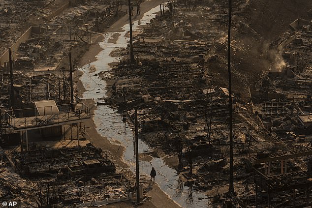 Pictured: A person walking amid the destruction left by the Palisades Fire in the Pacific Palisades neighborhood of Los Angeles