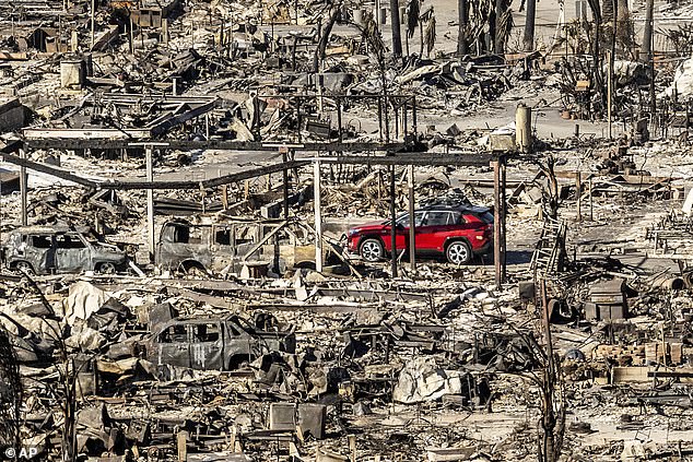 Pictured: A car drives past homes and vehicles destroyed by the Palisades Fire in the Pacific Palisades