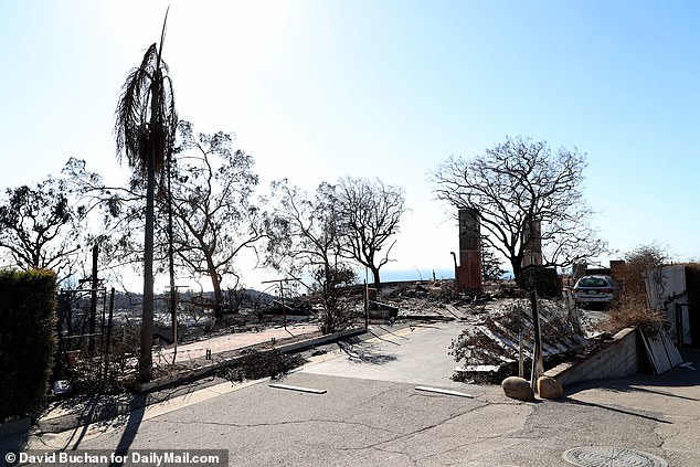 Exclusive photos show the complete destruction of the Kerr family home in Pacific Palisades