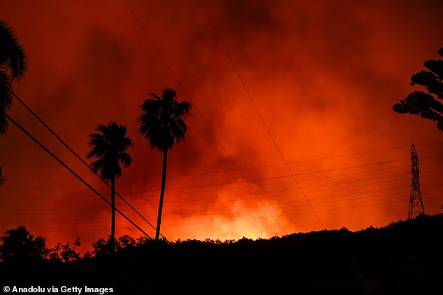 'Right now I have a choice to sit down and walk, or to get up and do what I can. I choose to stand up and fight. And help,” the actor told People (Palisades Fire pictured earlier this week)