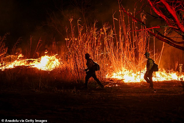 AccuWeather estimates that damage and economic losses from the fires could be anywhere from $250 billion to $275 billion, making it the country's costliest disaster ever.