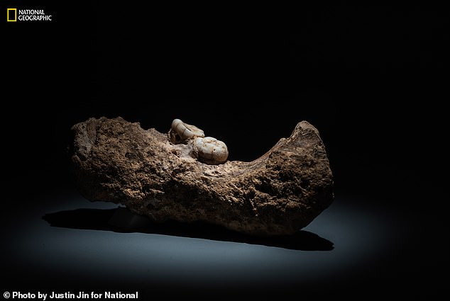 The main evidence supporting the Denisovan descent of the Harbin skull is the morphological similarity between the skull and a jawbone found in Xiahe Cave on the Tibetan Plateau in 1980.