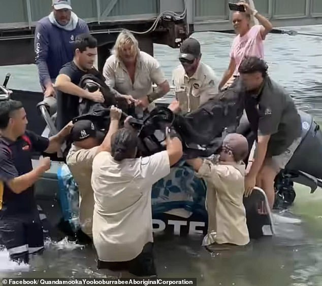 It took eight rangers to lift the heavy dolphin back into the water (photo)