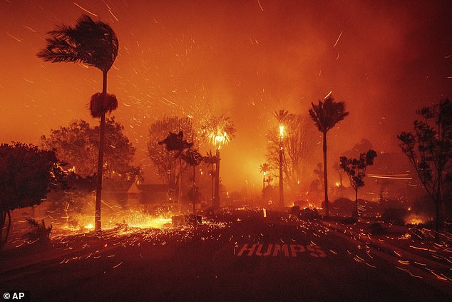 “The board's main concern right now is not to appear to be celebrating when many Los Angelenos are dealing with heartbreak and unimaginable loss,” an insider told the publication; the Palisades Fire pictured as it destroys a Los Angeles neighborhood on January 7