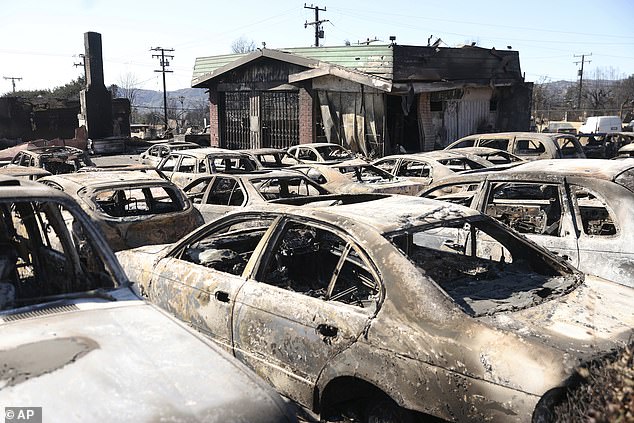 Exactly how much insurance prices will rise remains to be seen. However, experts fear that any increase could worsen California's affordable housing problem, the Chronicle reported. Pictured: A parking lot is full of burned vehicles after the Eaton fire in Altadena, California