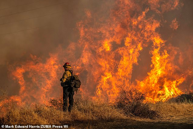 Flames at a fire road above Mandeville Canyon during the Palisades Fire on January 11