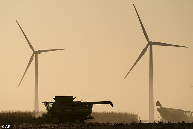 Researchers studied the acoustic signals of bats in parts of Germany with many wind turbines (file image)