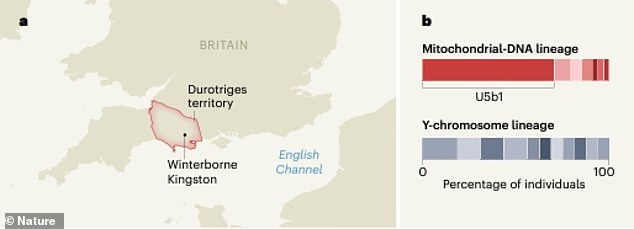 A team of geneticists examined evidence from 157 archaeological sites in use before and after the Roman invasion of 43 AD. This included their own in-depth analysis of DNA from 55 prehistoric people whose remains were located in cemeteries in Winterborne Kingston, Dorset.