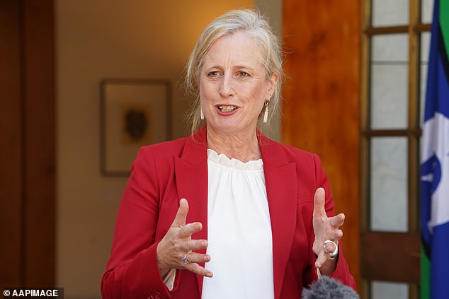 While Finance Minister Katy Gallagher (pictured) will become Minister for Public Services, in addition to her current portfolio