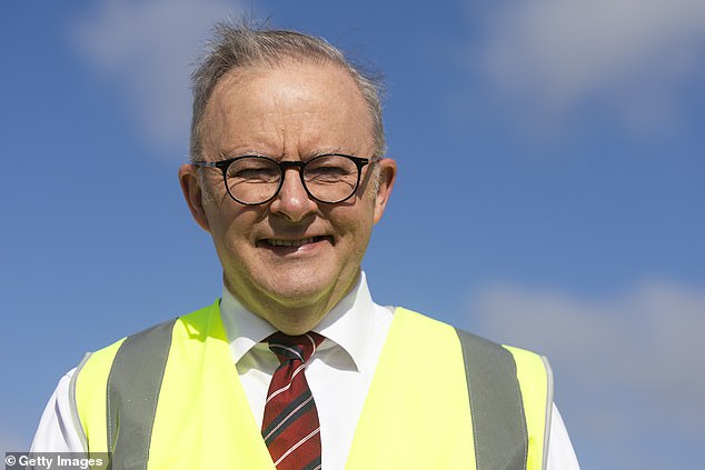 Mr Albanese (pictured) said his community will hold citizenship ceremonies on Australia Day and confirmed he will attend this year's National Australia Day commemorations