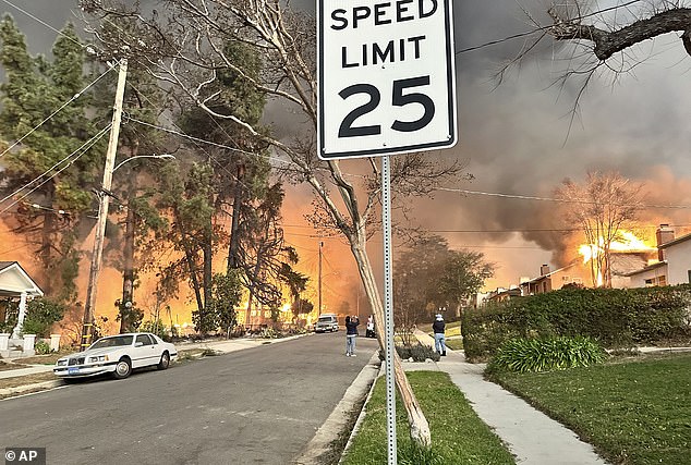 Homes in Altadena and Pasadena were destroyed by the Eaton fire