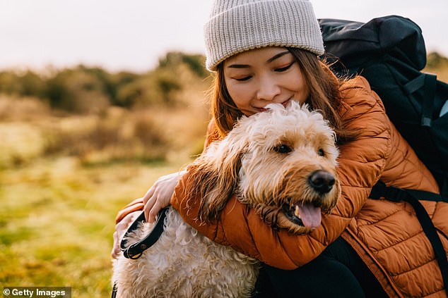 Dr. Anna advised owners to watch for changes in their dogs' behavior during the colder months, such as lethargy, loss of appetite or weight fluctuations (stock image)