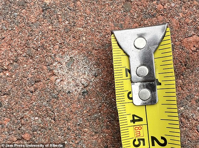 The meteorite is believed to have struck the ground at a speed of about 200 kilometers per hour, producing enough force to bore a 2cm hole in the walkway.