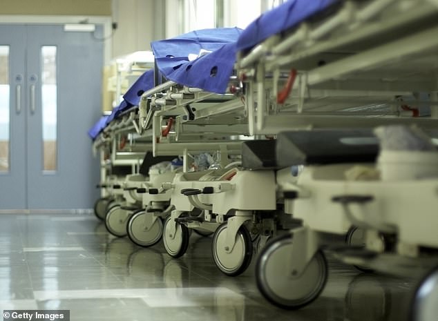 A 'distressing' report published today by the Royal College of Nursing (RCN) revealed that a severe shortage of beds has led to the sick being left in 'animal' conditions in hospital car parks, cupboards and toilets. Pictured, stock photo