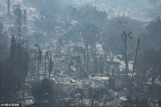 A general view of homes burned by the Palisades Fire in the Pacific Palisades neighborhood