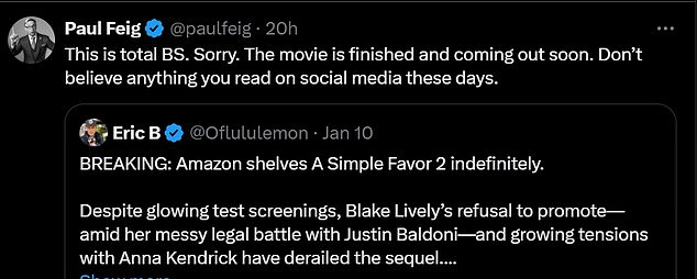 Blake Livelys A Simple Favor director reacts to rumors sequel