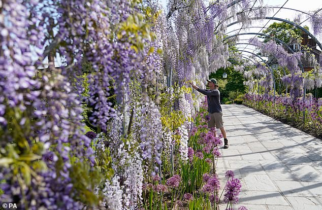 RHS Garden Wisley in Surrey