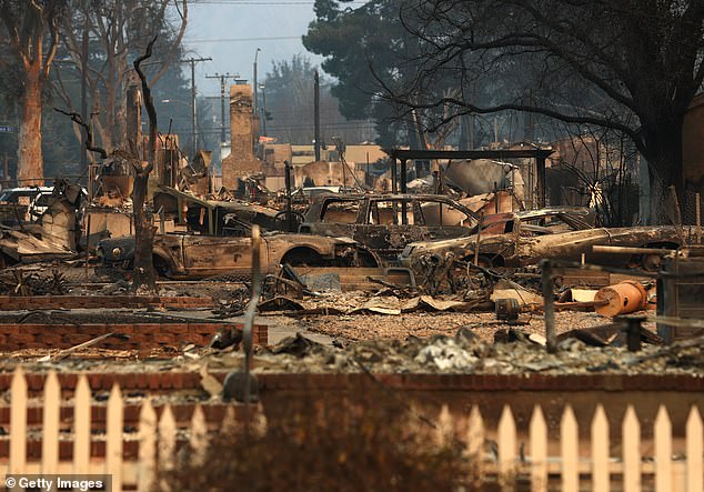 The Eaton Fire, which has destroyed more than 4,000 hectares of land, hundreds of homes and displaced thousands of people, has also wreaked havoc on the horse population.