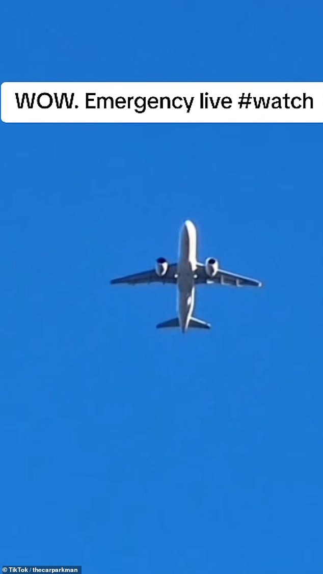 The incident appeared to force another plane to circle around and delay its landing